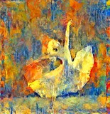 by Pavel Potocek