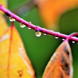 by Marie josé LAURIER