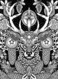 by Janelle Dimmett