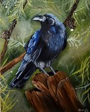 by Brooklyn Hill
