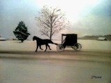by Judy Petett