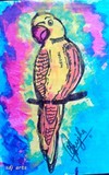 by saurabh jha