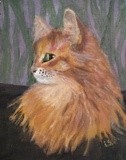 by Irina Stroup