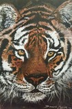 by Dawn Moir-Harris 