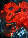 by Cene gál István