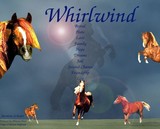 by Kitiara Wolfrider