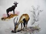 by Abhishek Rammohan