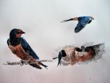 by Abhishek Rammohan