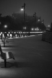 by Lisa Marogna