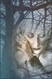 by Sher Richardson
