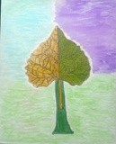 by Christine Selmon