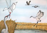 by Laura Horning