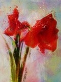 by Georgia Chagas