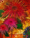 by Julie Pedder