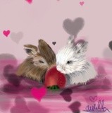 by Ariella Belau