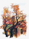 by shalva cheishvili