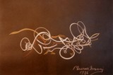 by Masrur Imani