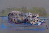 by Angie Owens