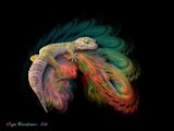 by Angie Waszkiewicz