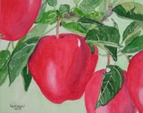by Nancy Woolweber
