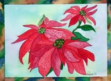 by Nancy Woolweber
