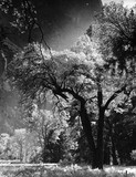 by Mayfield Mayfield
