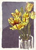 by Steen Djervad