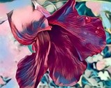 by Ginger Olansen