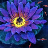 by Evonne Bishop