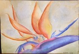 by Belinda Balaski