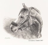 by Laura Smith