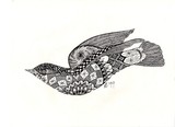 by Amy Yampanis