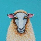 by Lucia Stewart