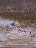 by Robert McCoy