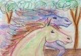 by Pamela Miller