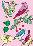 by Rachel  McSwan