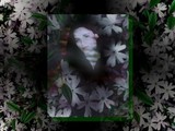 by Pat 