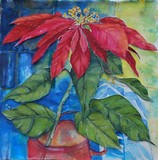 by Ingrid Kolster