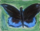 by Loretta Nash