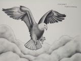 by MASAKI YOKOYAMA