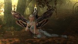 by Ben Vienerius