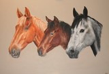 by Kathryn Lewis