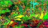 by Barry Huyett