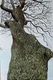 by alisdair small