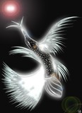 by Fersha Fersha