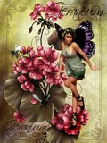 by Sandy Wiech