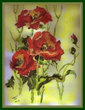 by marie cullinan