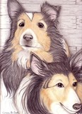 by Karen Cash