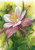 by Barbara Keith