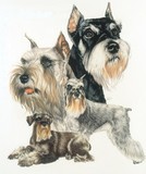 by Barbara Keith